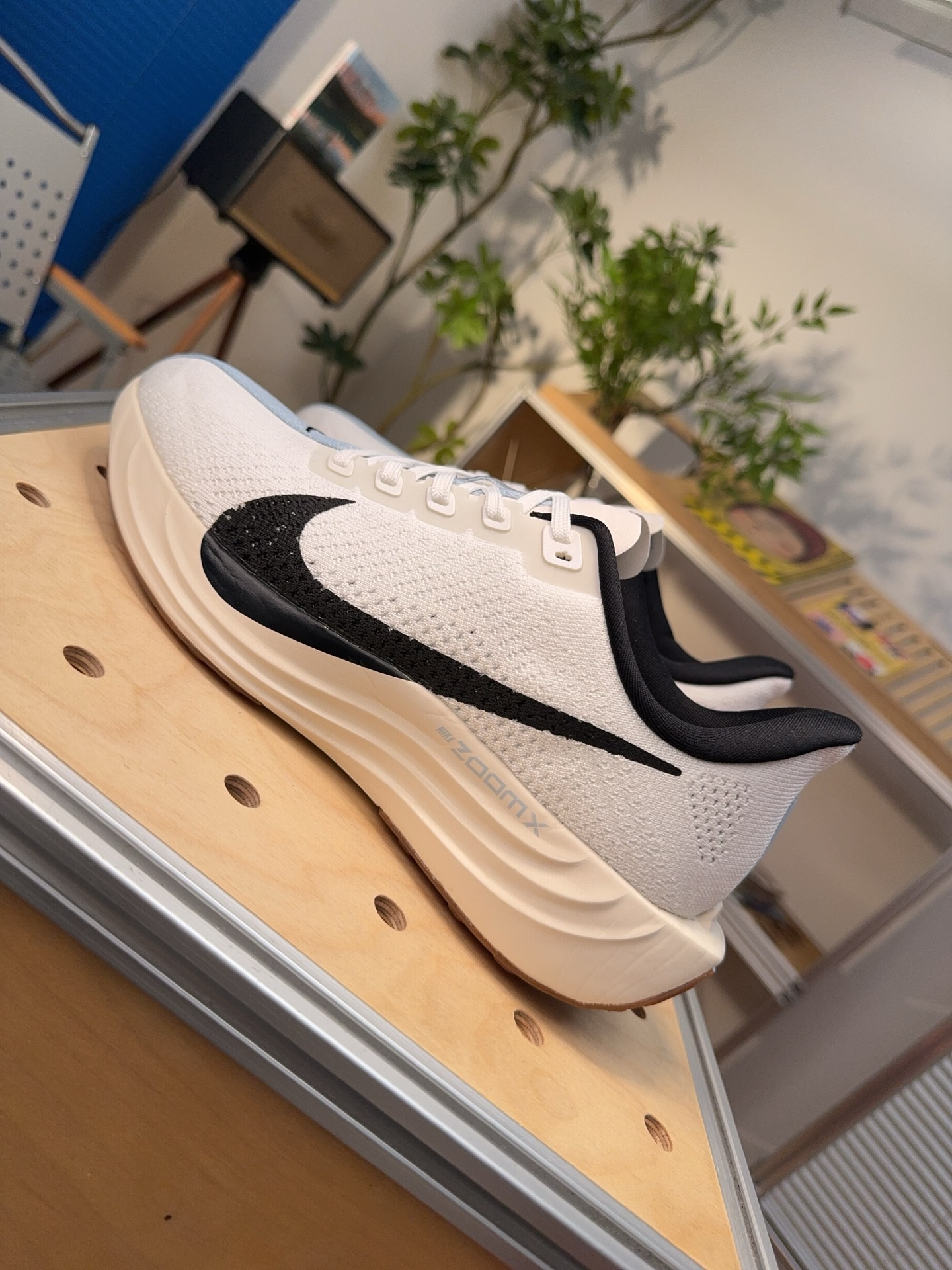Nike Jordan